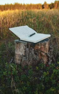 Using journaling prompts and seeking counseling in Katy and Fulshear Texas