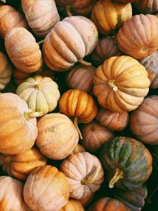 Seasonal funk and seeking counseling in Katy and Fulshear Texas
