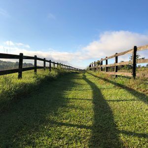 Defining Boundaries with Counseling in Katy, TX 77494
