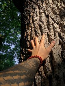 Grounding techniques using touch and five senses, seeking counseling in Katy and Fulshear, TX 