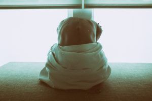 very thin girl bending over wearing a robe who may have an eating disorder, misconceptions about eating disorders blog, counseling center at cinco ranch