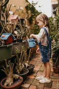 Parenting and seeking therapy in Katy Texas