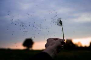 Letting go and moving on and seeking counseling in Katy and Fulshear Texas