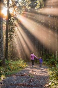A mother and child walking through the woods talking about divorce. Represents the need for divorce recovery in Katy, TX 77494