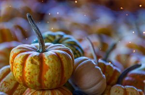 Gratitude and Positive Thinking Counseling in Katy, TX 77494