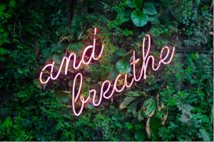 Seeking mindfulness therapy in Katy Texas 77494