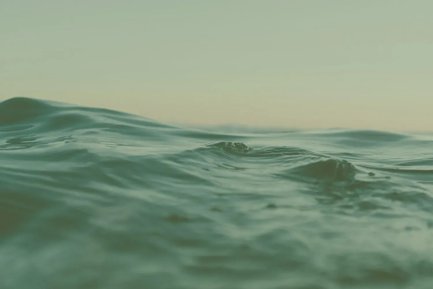 banner image