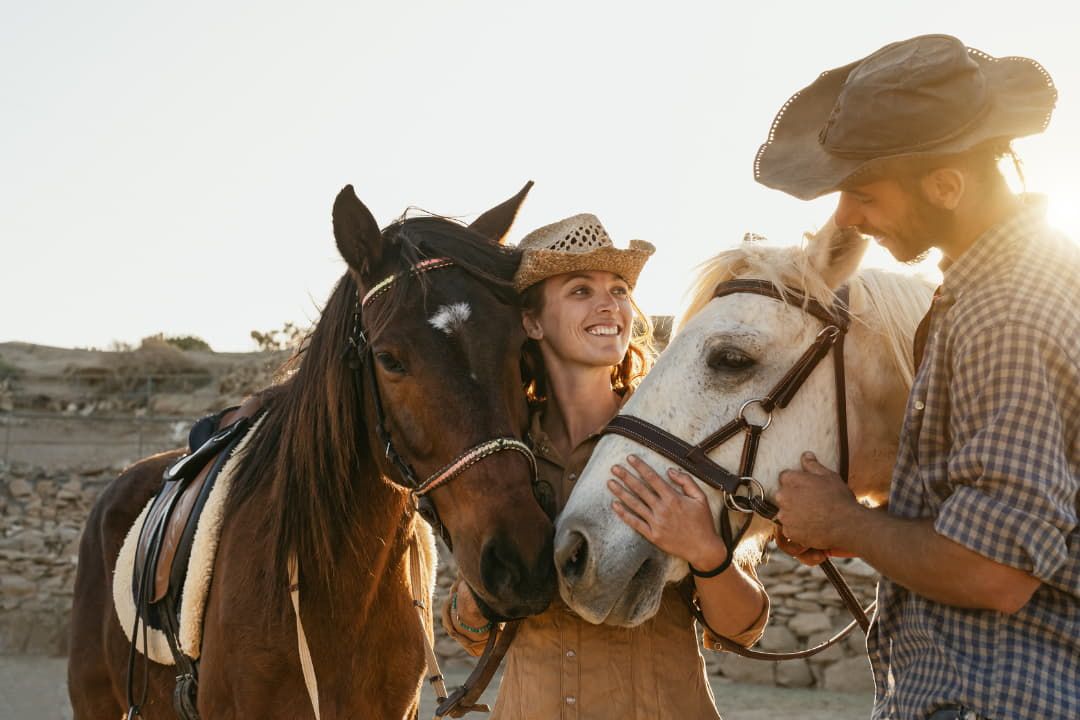 Equine Therapy in Miramar, FL 