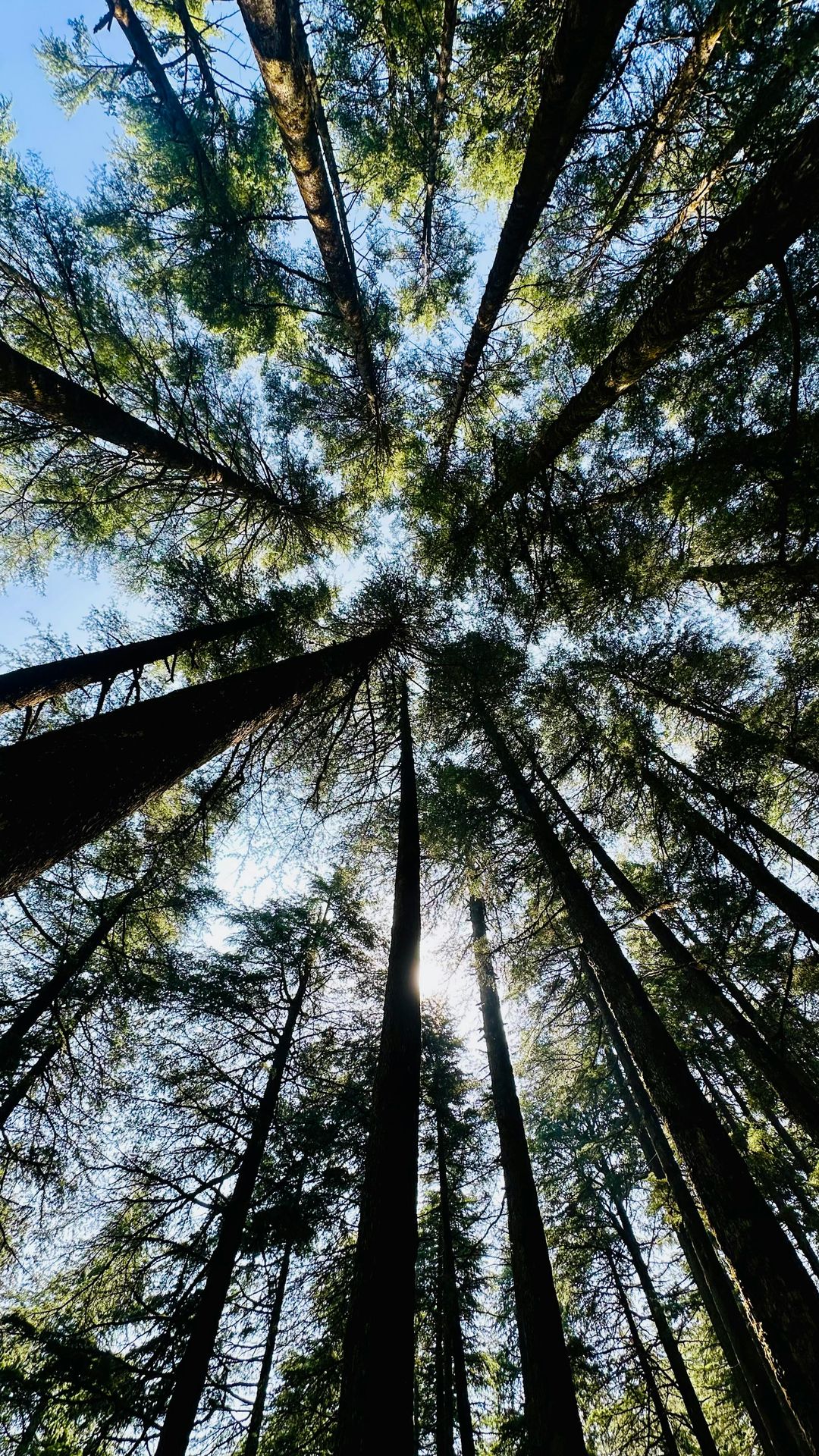 banner image