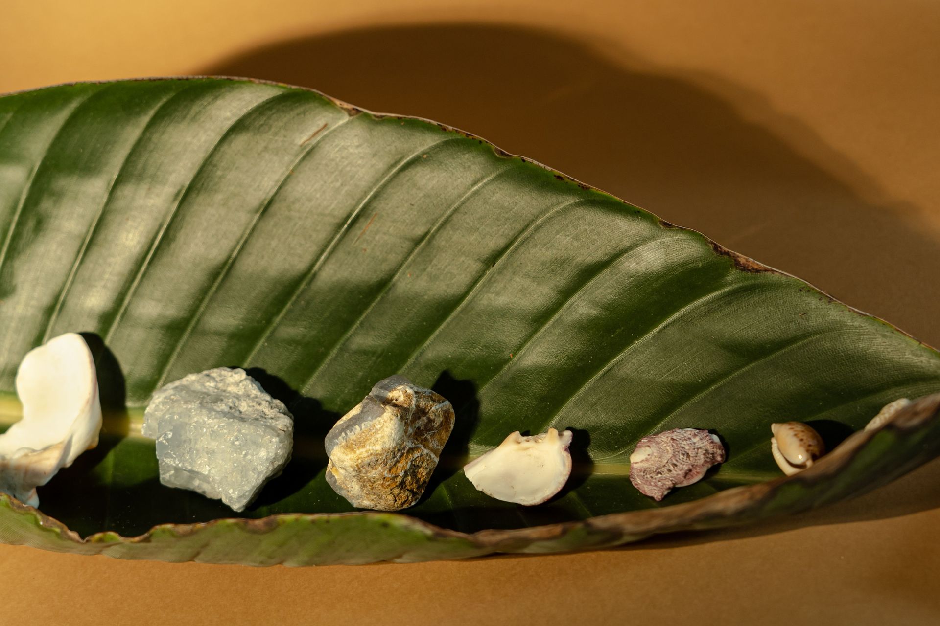 EMDR and Other Approaches to Healing Trauma