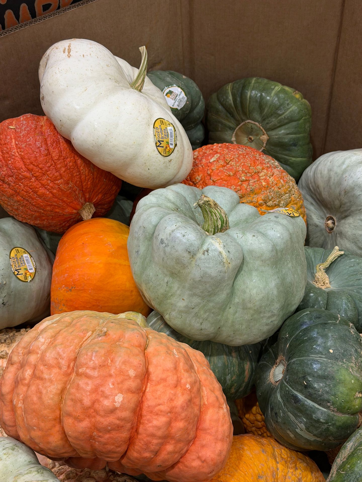 15 Fun Fall Self-Care Activities to Support Your Mental Health