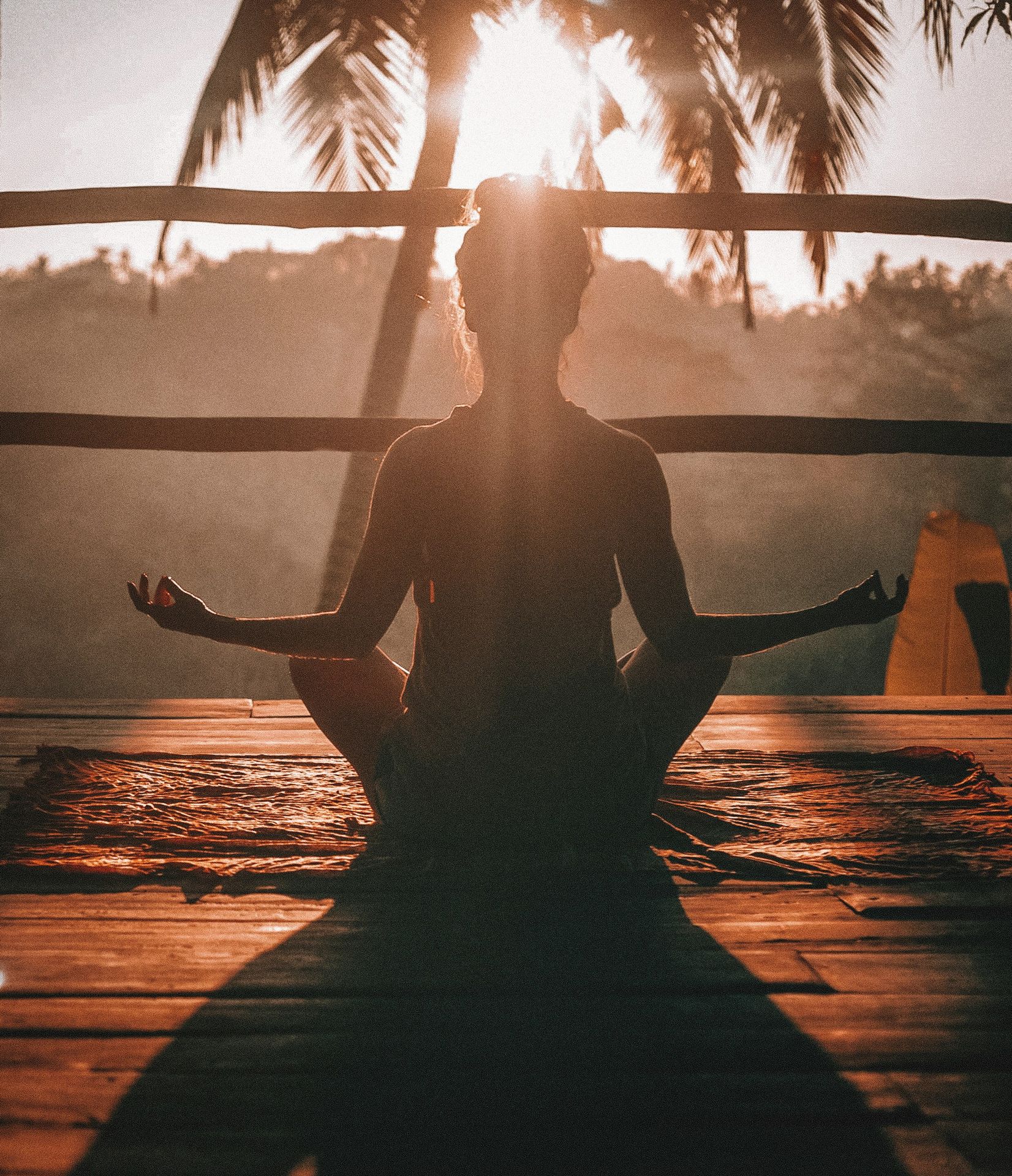 Pro Bono Therapy & Mindfulness Sessions