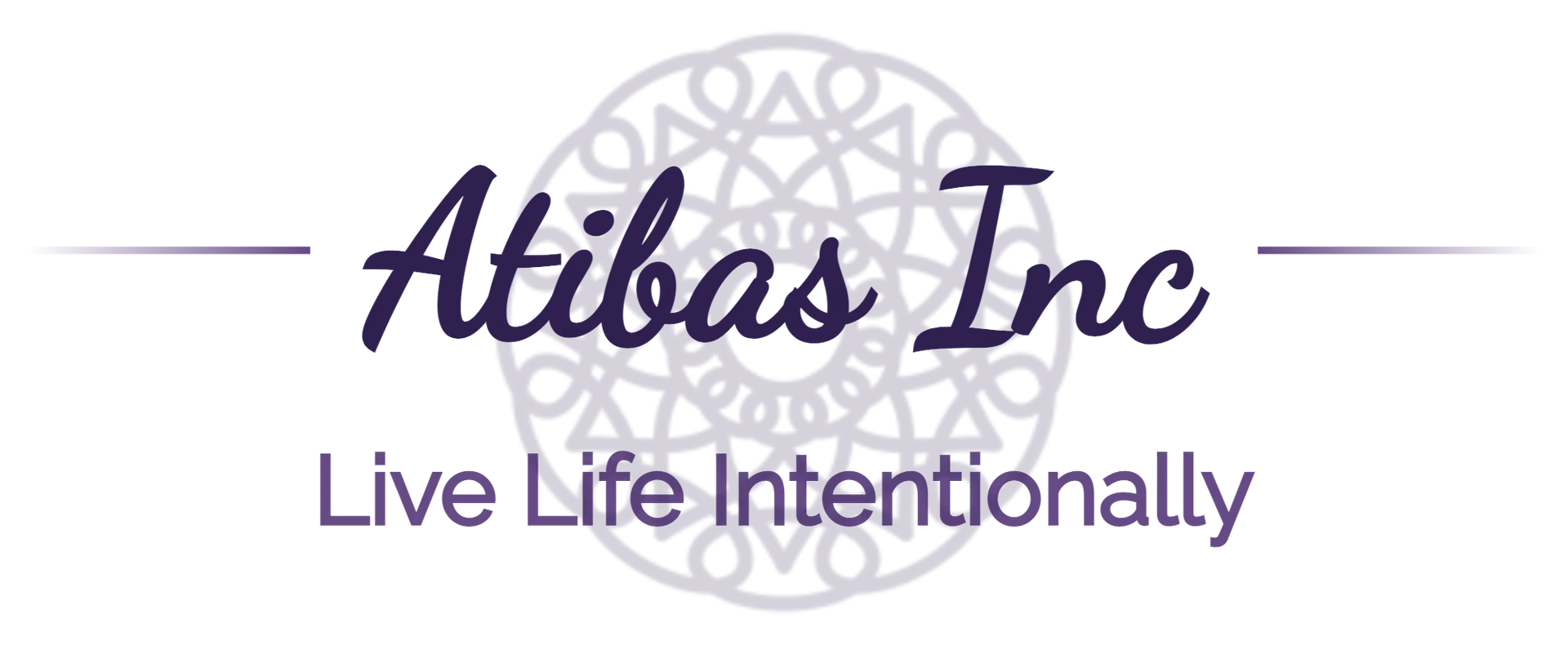 Atibas Inc 