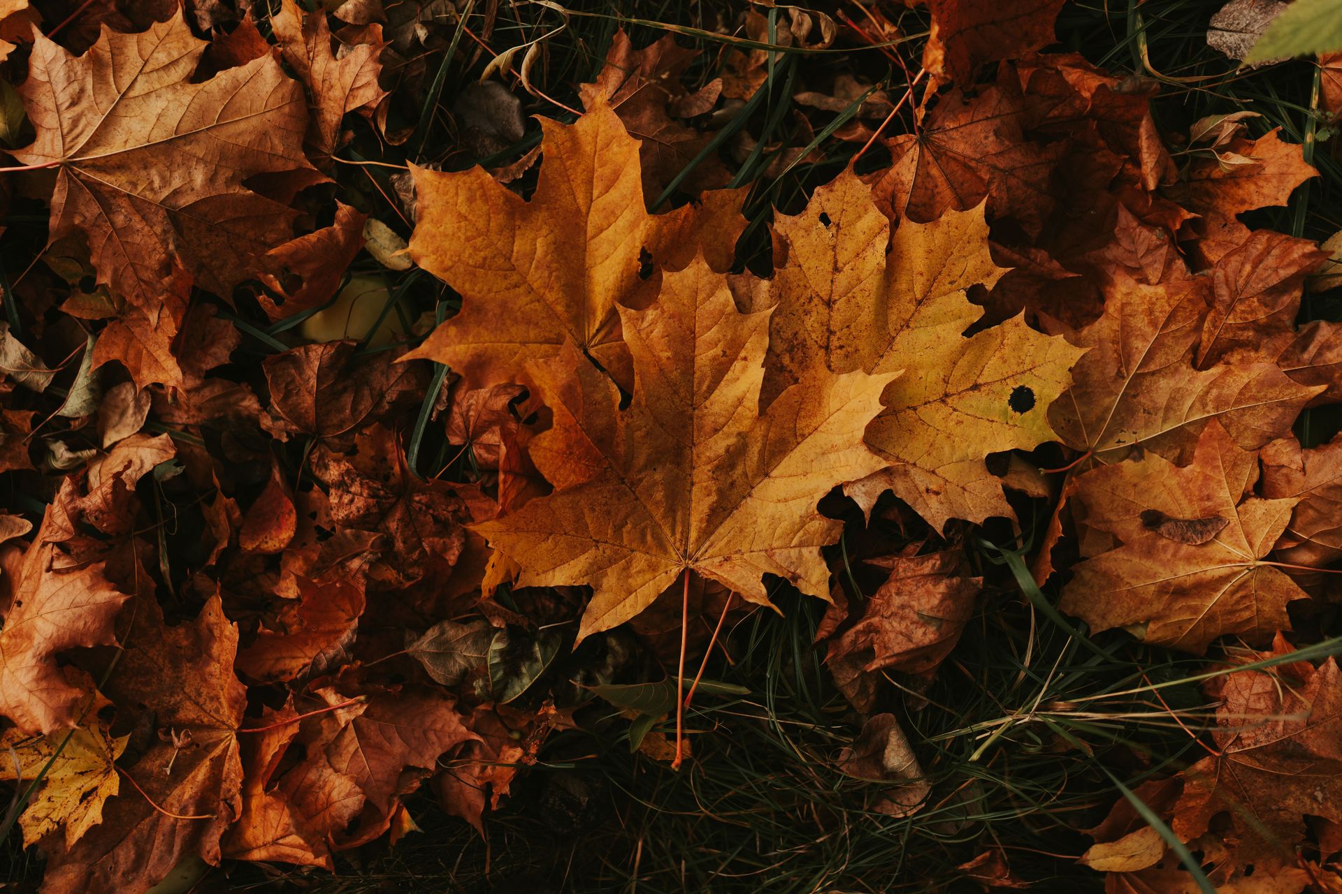 Why Do I Feel Behind Every September Even When Nothing’s Actually Wrong?