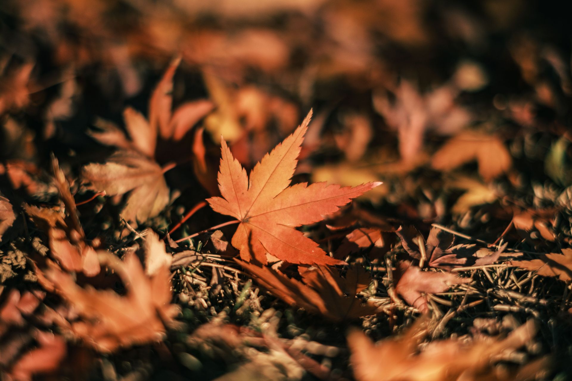 Why Fall Can Make You Feel Like You Should Have Your Life Together