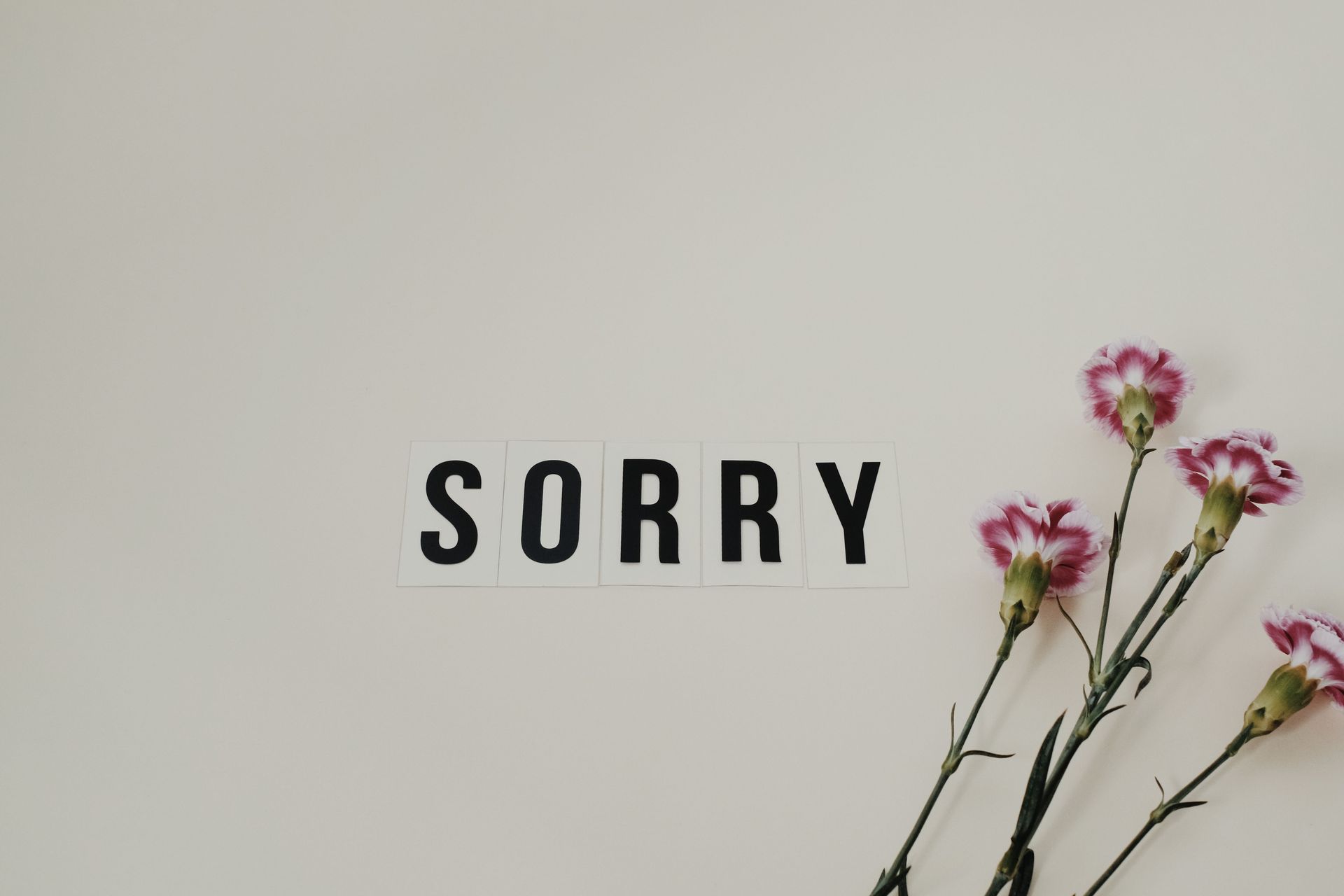 I'm Sorry You  Feel That Way | October 2026