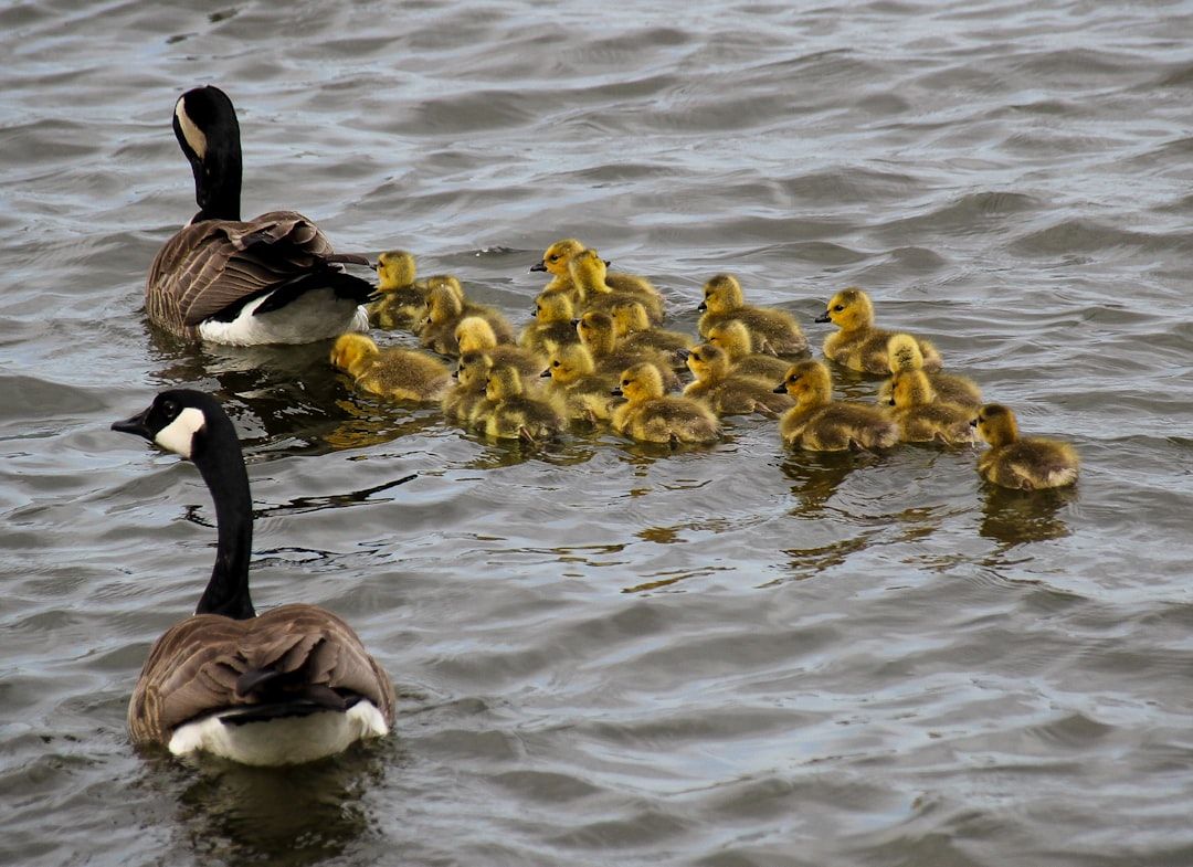 5 Things to Work on Before Becoming a Parent