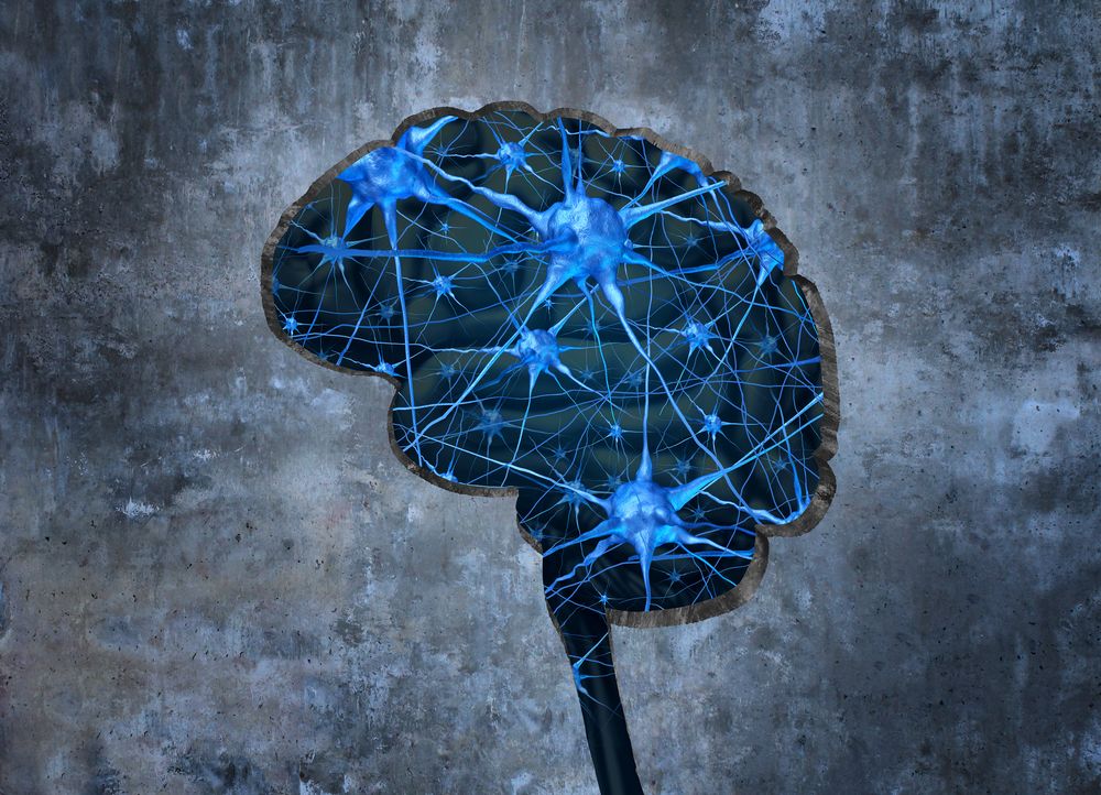 Illustration of brain activity representing EMDR therapy in Palm Beach County, FL, often used by a trauma therapist in Miami, FL or an EMDR therapist in Palm Beach County, FL.
