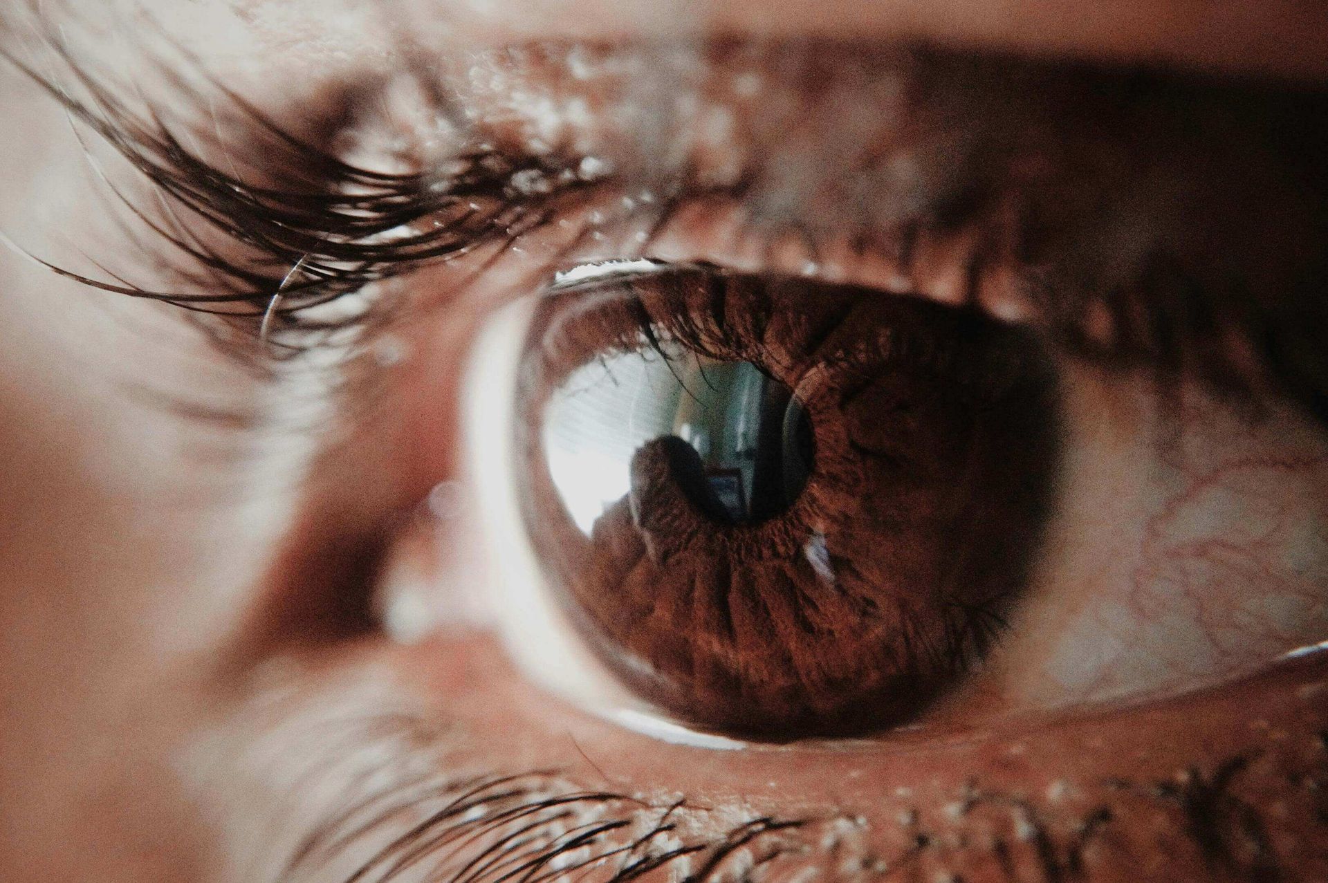 Close-up image of a brown eye, symbolizing the bilateral stimulation used in EMDR therapy in Palm Beach, FL. This technique is commonly used by EMDR therapists in Palm Beach County, FL and Boca Raton, FL to help clients reprocess traumatic memories.