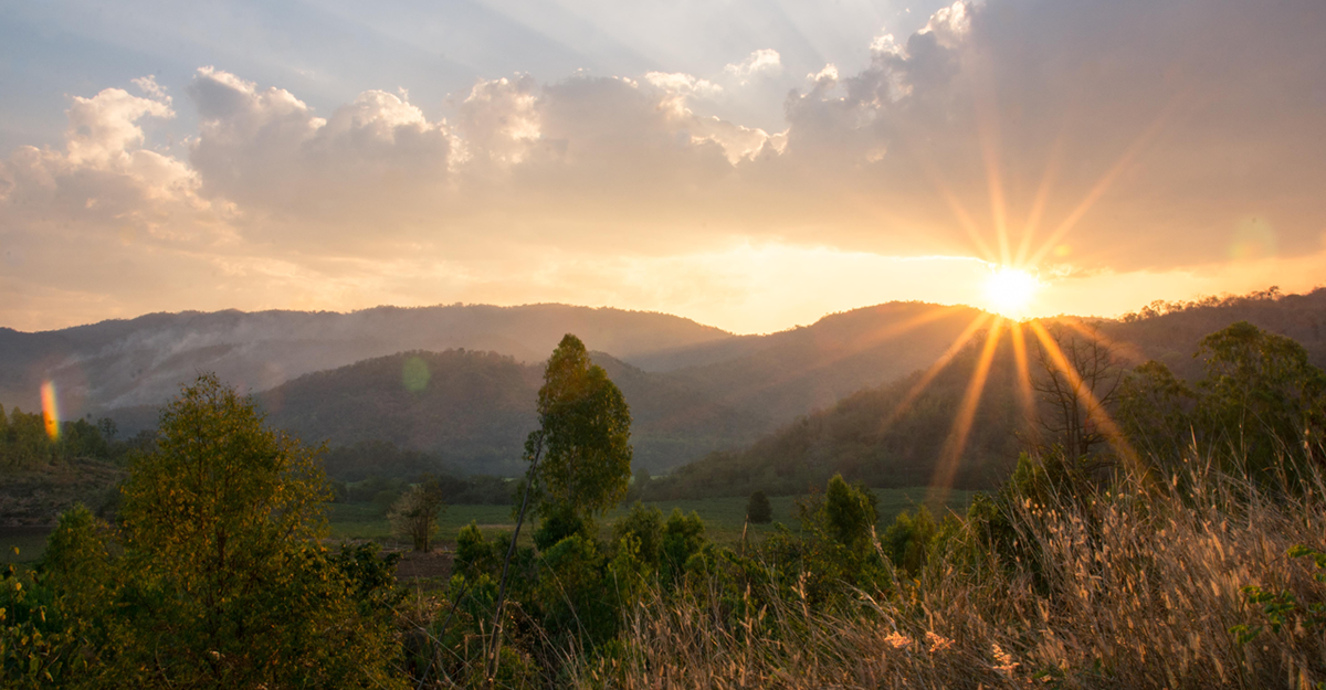 I NEED THERAPY + MEDICATION (NEW MEXICO) 