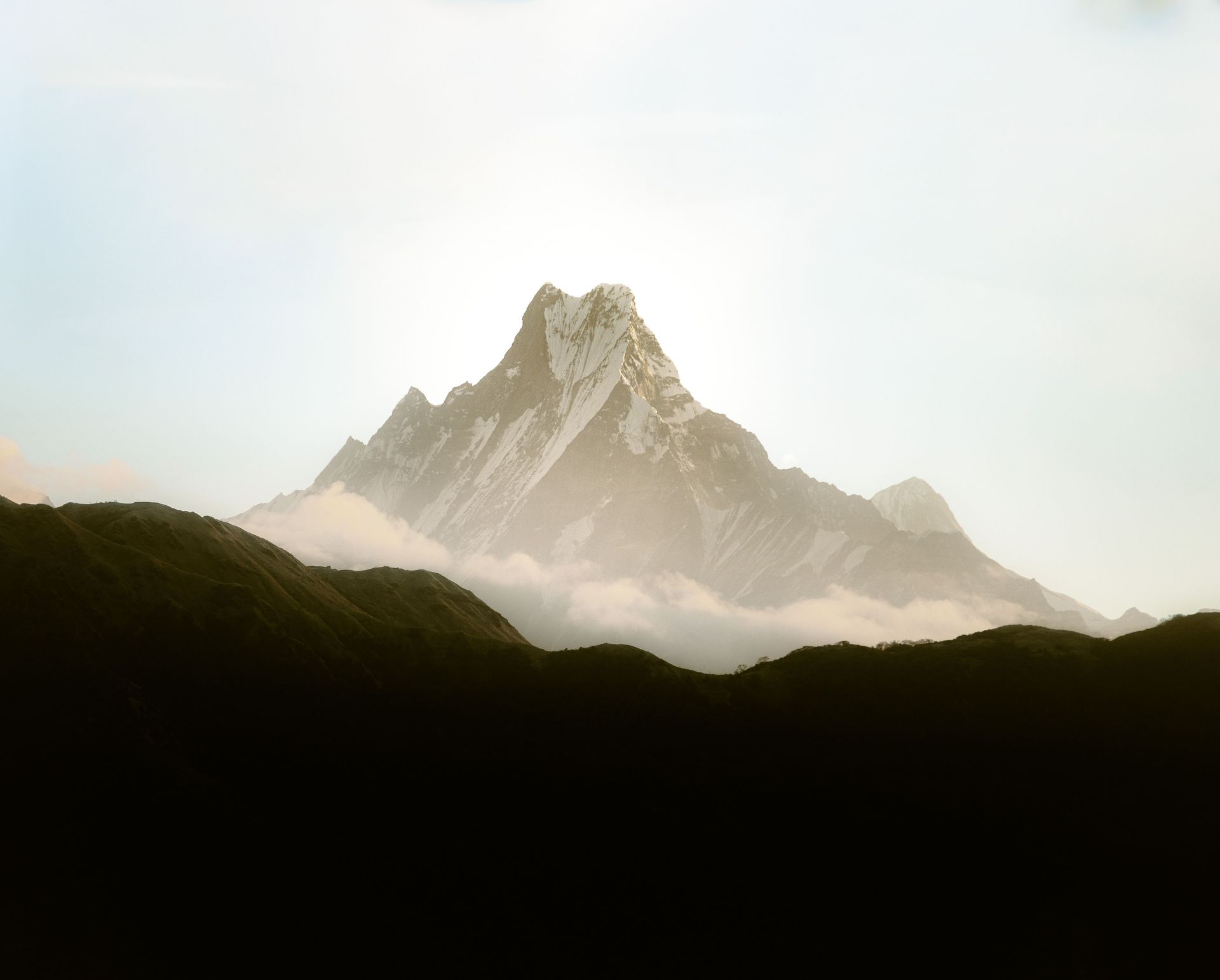 banner image