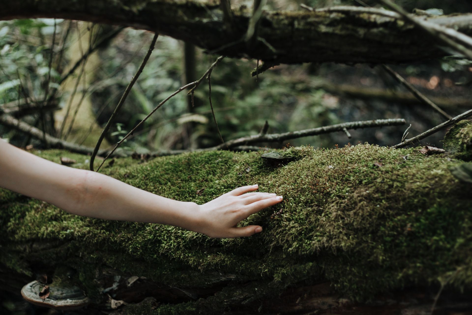 Why You Still Feel on Edge After Trauma—and How Therapy Can Help
