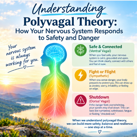 Understanding Polyvagal Theory: How Your Nervous System Responds to Safety and Danger