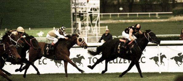 Photo of horses at a race to represent how overwhelming symptoms of depression can be. If you're looking for counseling for depression in Tampa or St. Petersburg, FL our psychologists can help!