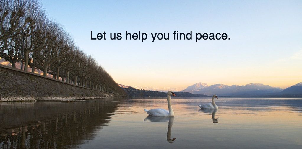 two swans swimming in a serene lake, anxiety specialist, anxiety therapy in tampa