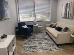 Therapy Office, relaxing | Saint Petersburg Office | Wellness Psychological | Therapy Services