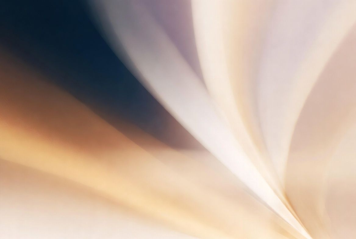 banner image