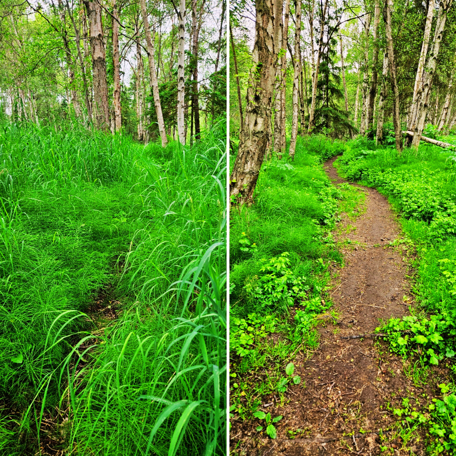 Why Is Change So Hard? Understanding the Brain's Well-Worn Paths