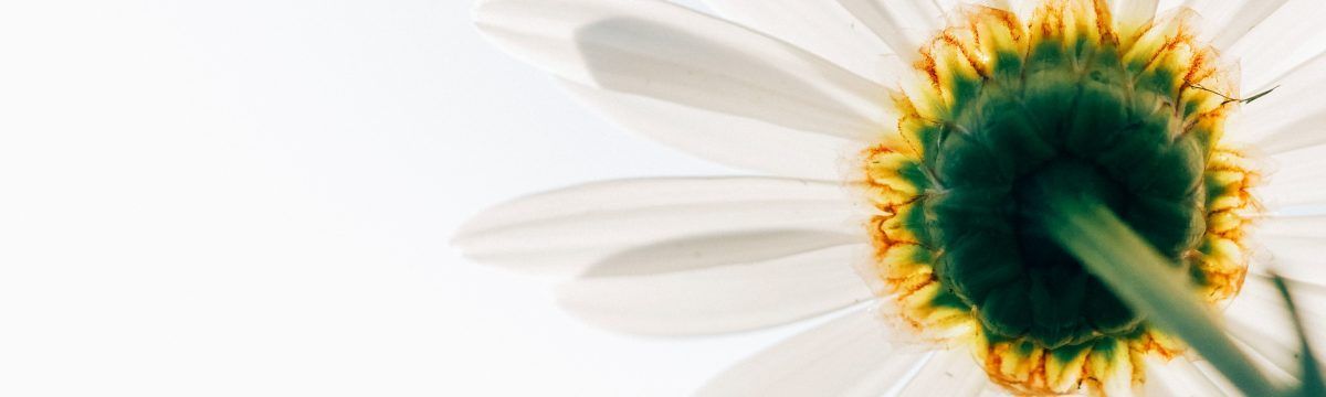 banner image