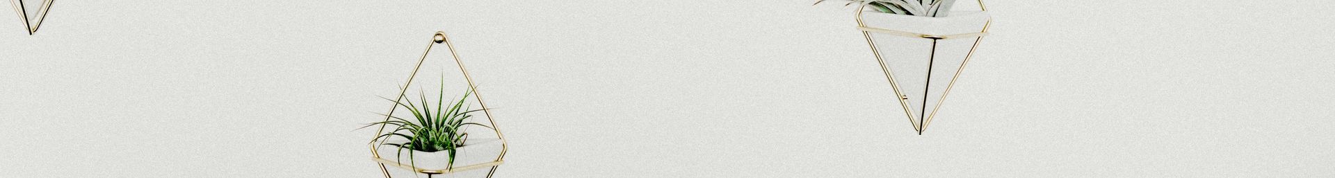 banner image
