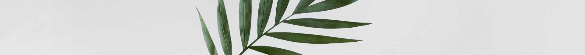 banner image