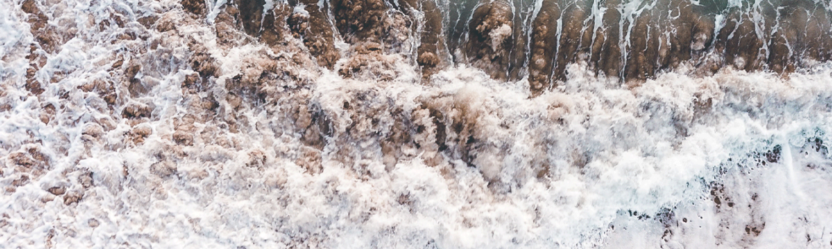 banner image