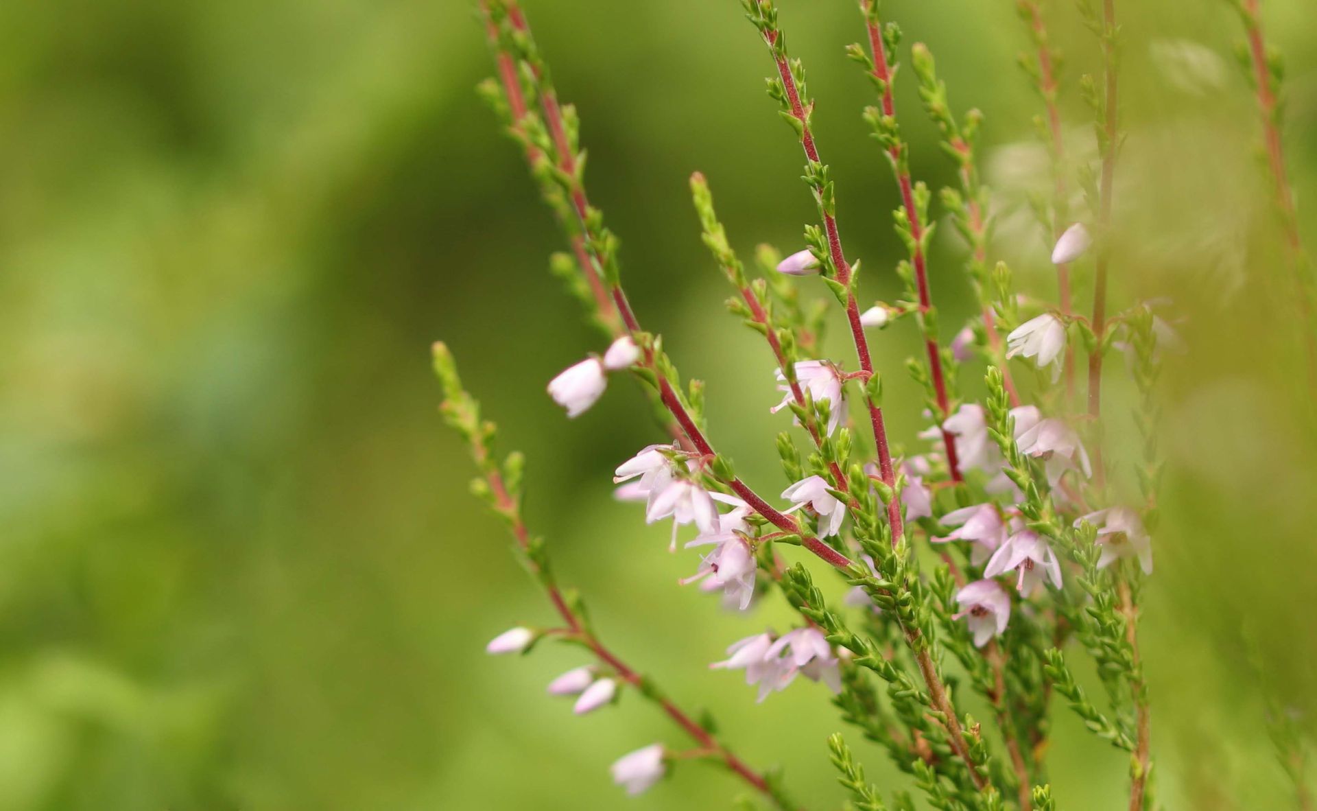 Relationship Counseling 