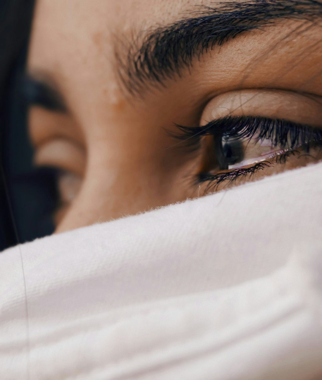 banner image