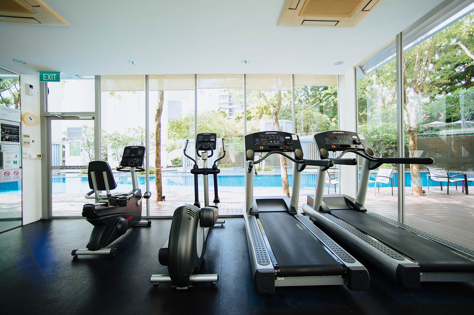 The Best Medicine is a Treadmill: How Daily Exercise Can Treat Depression