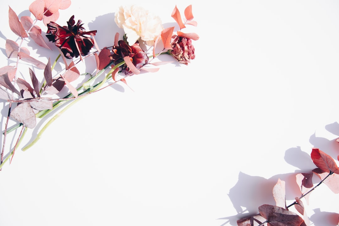 banner image