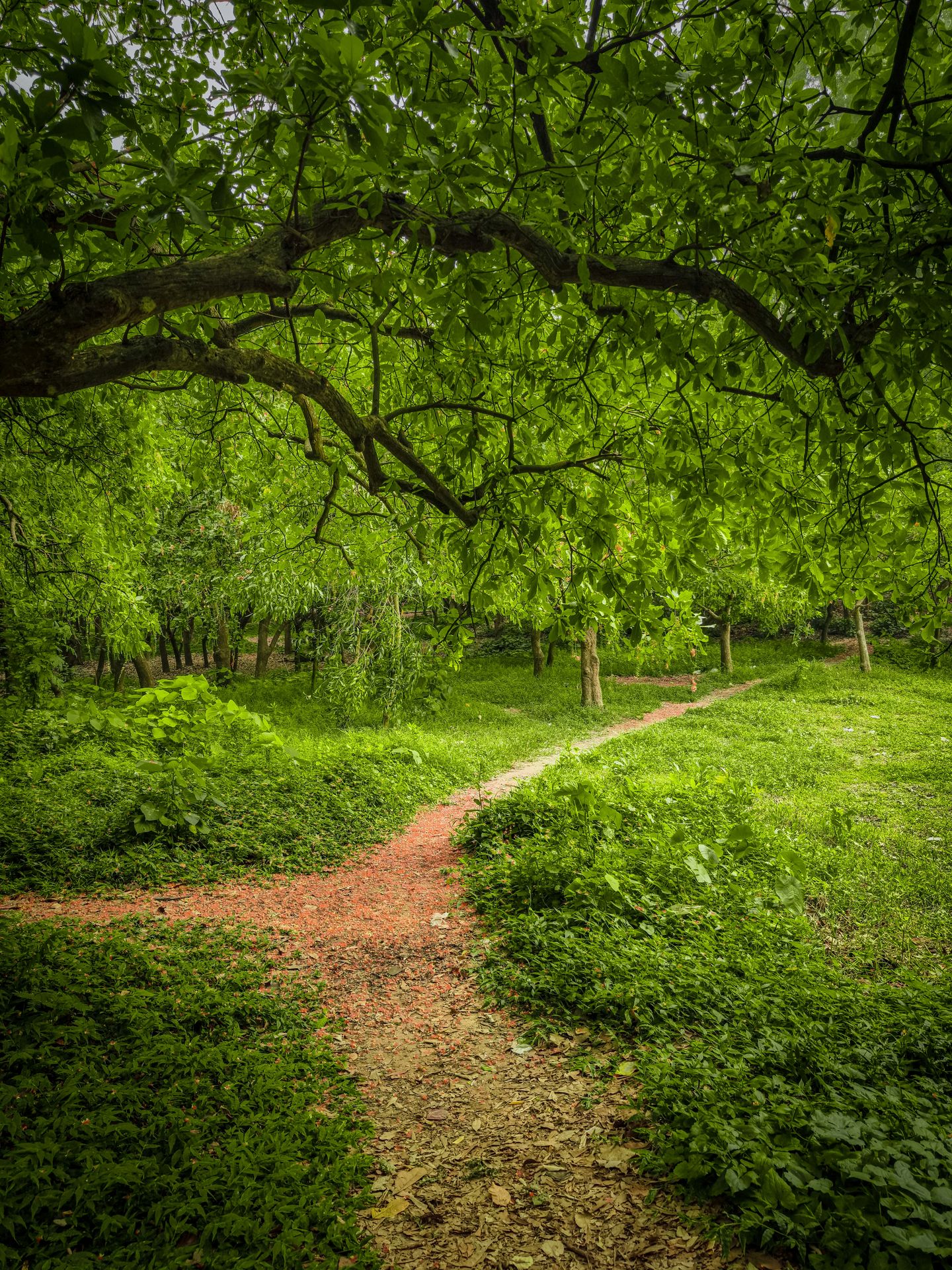 Mental Health Information 