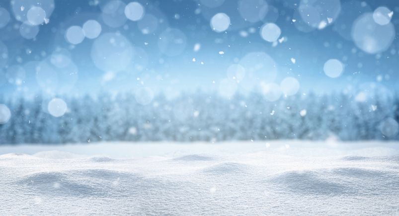banner image