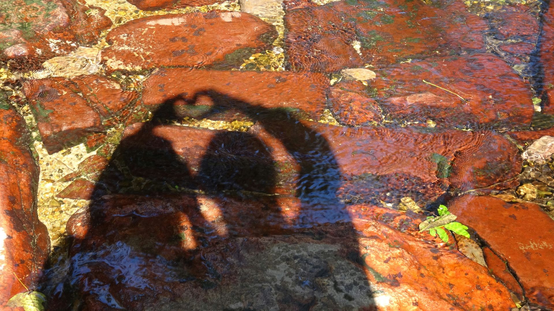 banner image