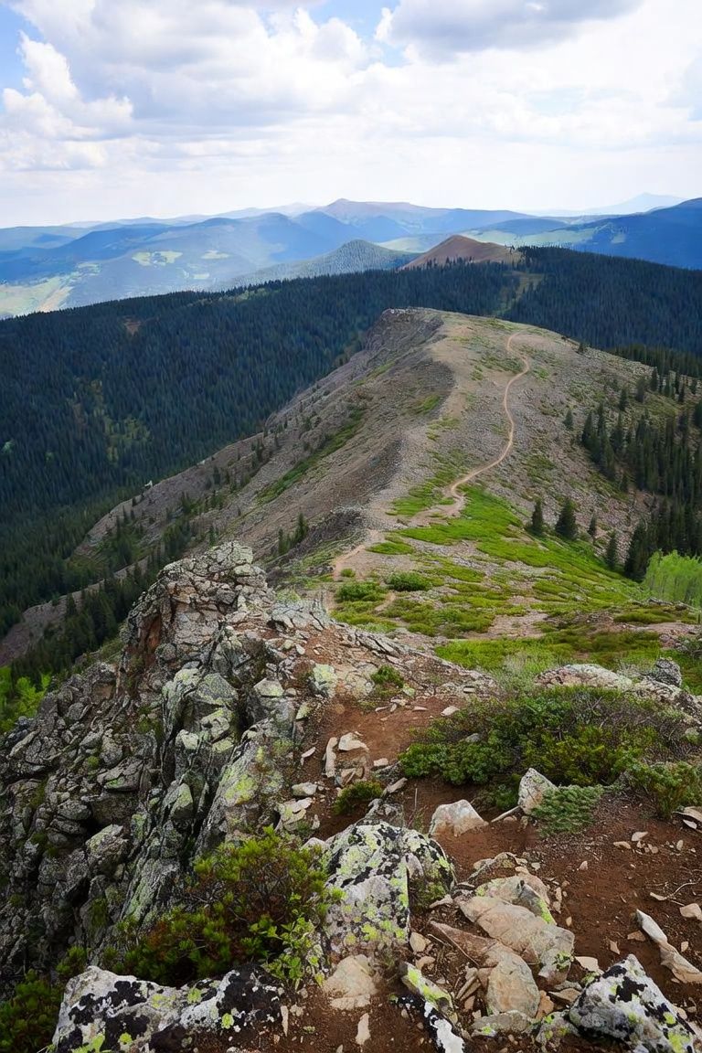 "Quiet mountain trail winding through evergreen trees in soft morning light"