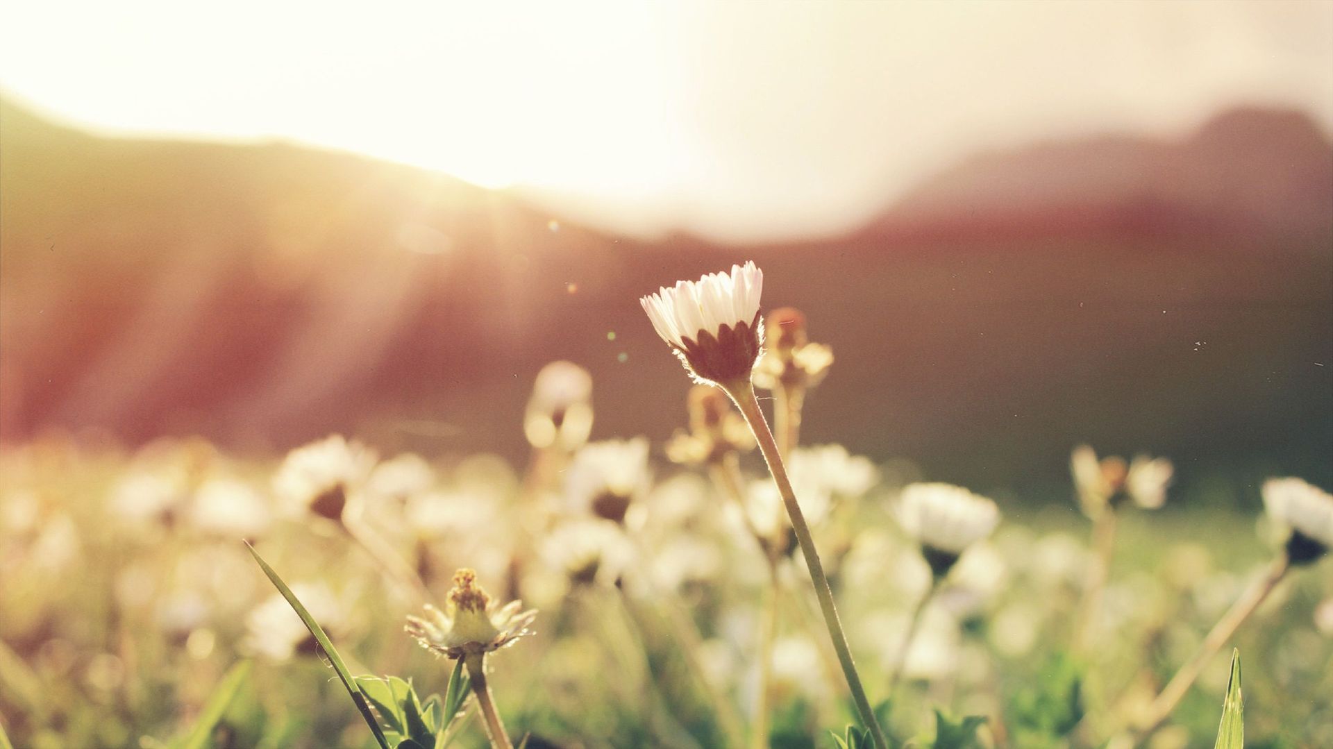 How Individual Counseling Supports the Mental Well-Being of California and Washington Residents