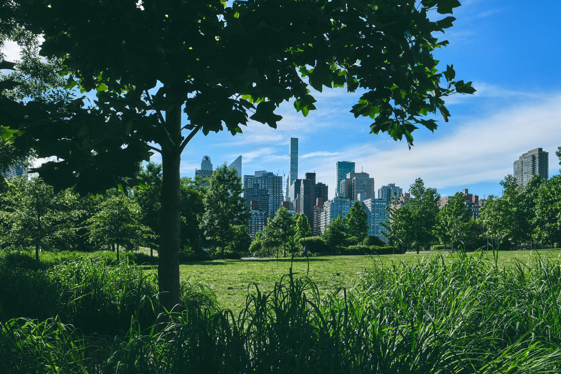 Why do I feel like something is wrong even when nothing is? Existential Therapy in New York