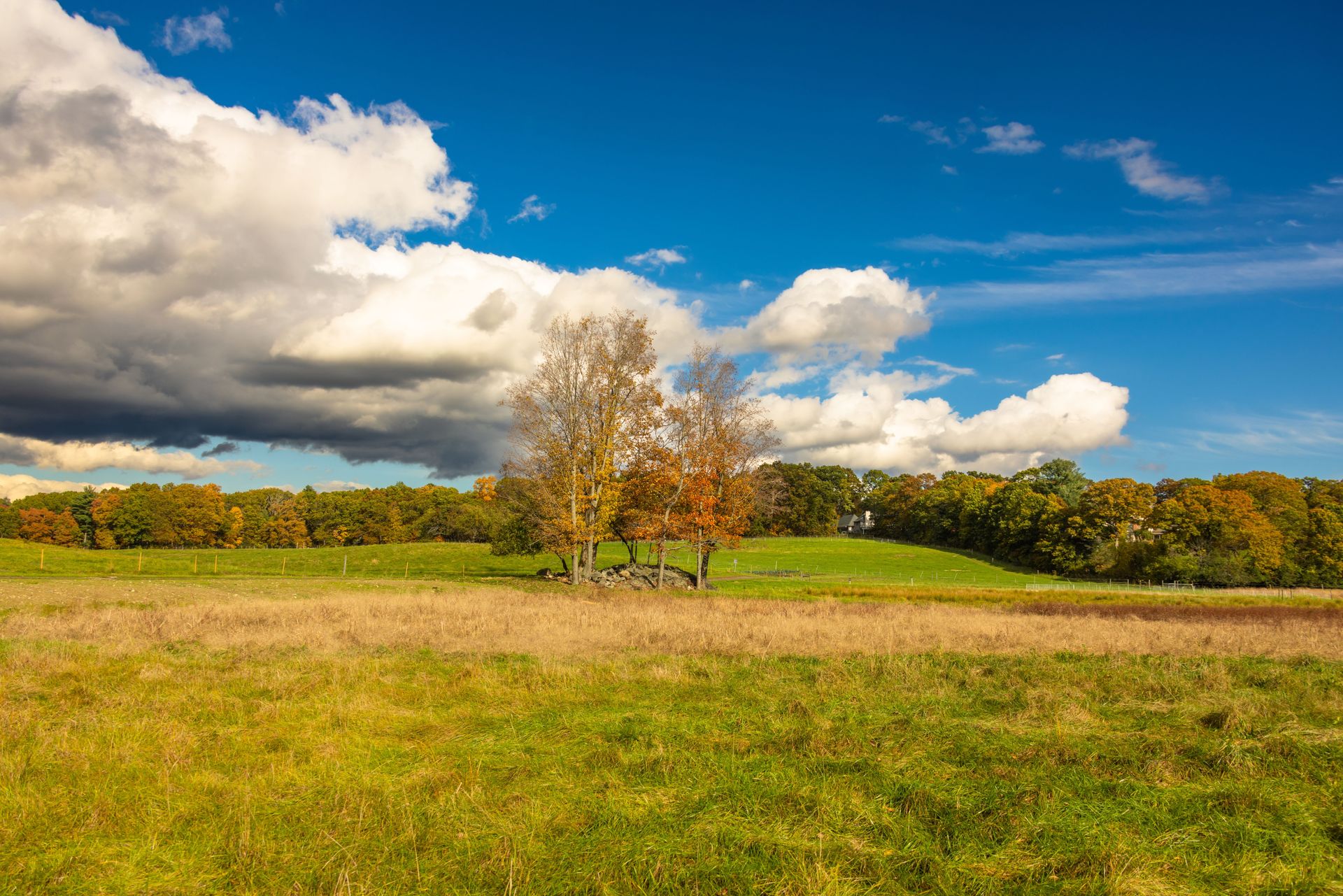 Why do I already feel like I'm grieving someone who's still here? Grief and Loss Therapy in Massachusetts
