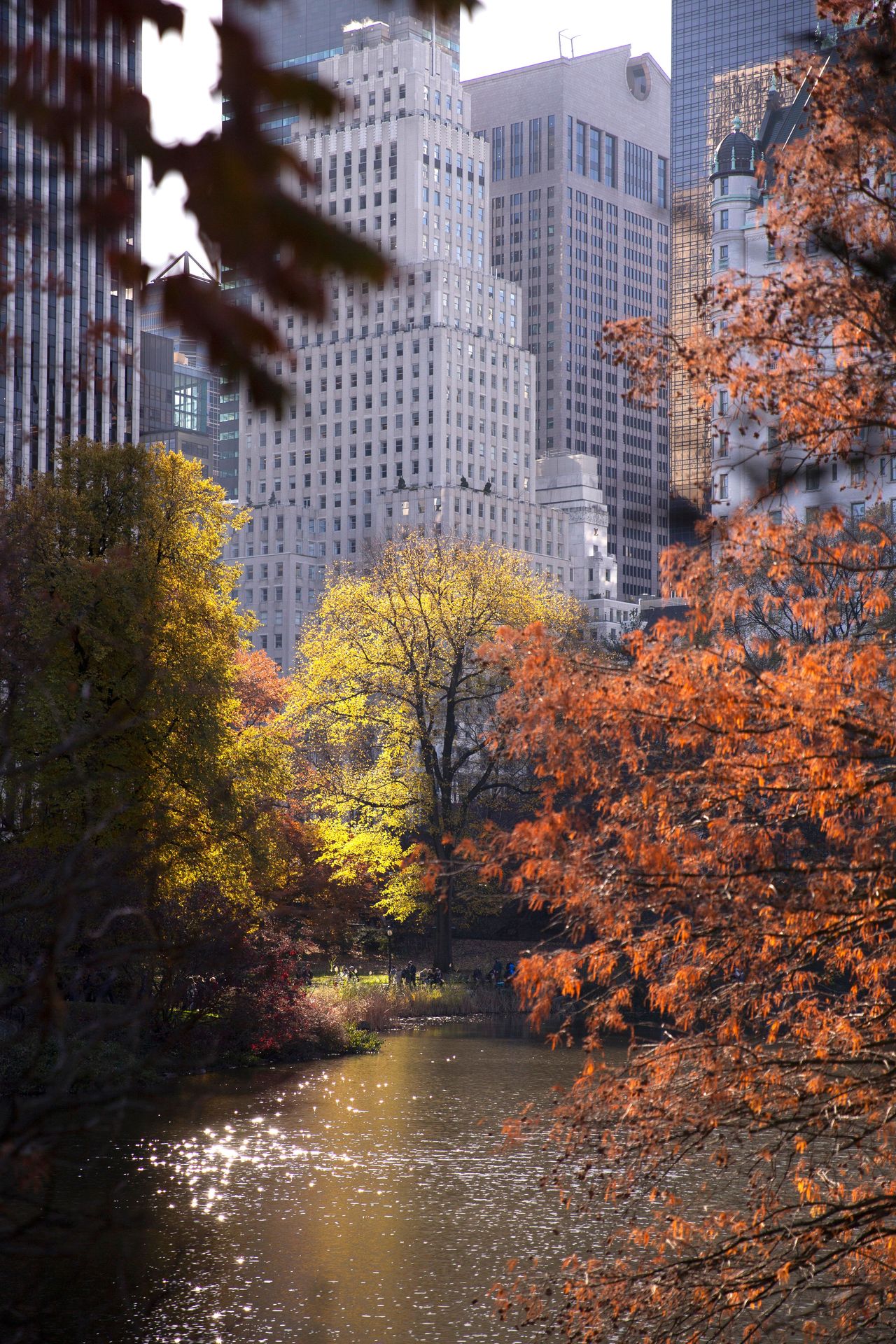 I Just Got a Call From My Doctor and I Can't Stop Thinking About It: Mindfulness-Based Therapy in New York