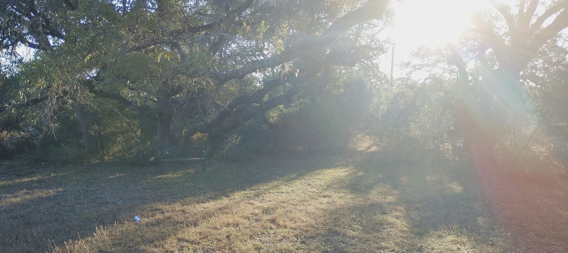 banner image