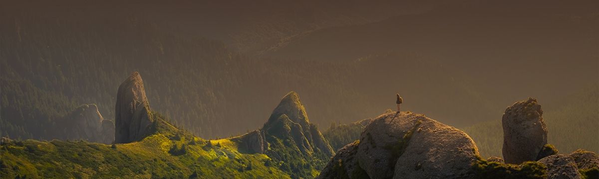 banner image